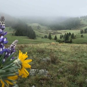 Meet your Posher, Tonya